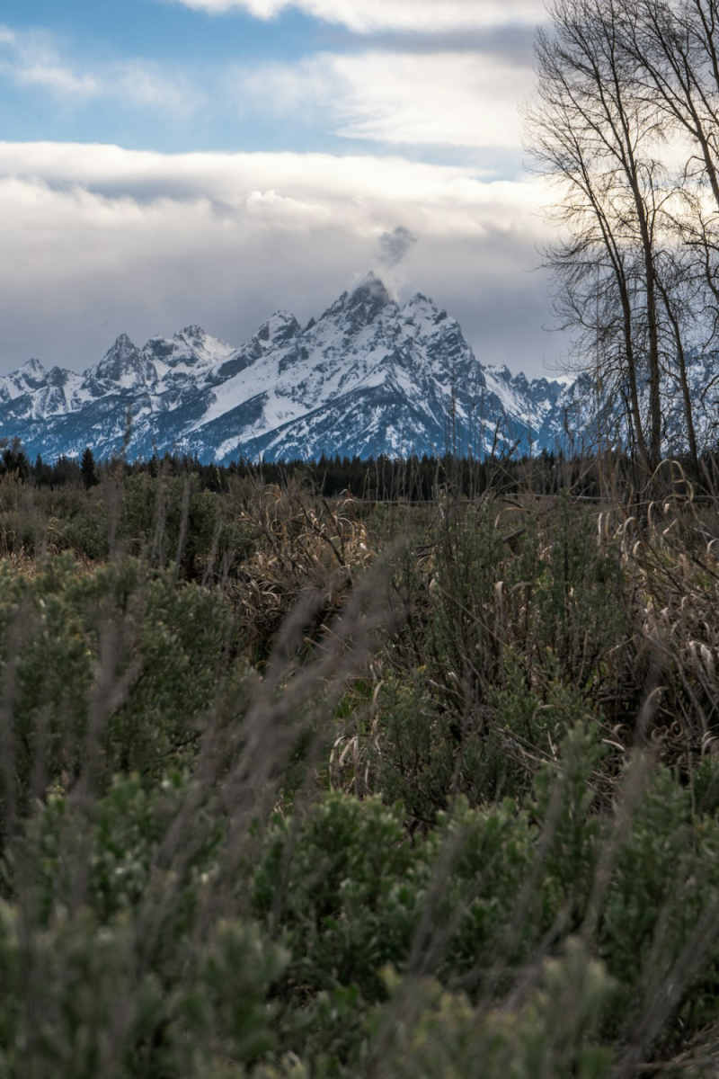 Wall Poster - Glacier in the Grand Tetons