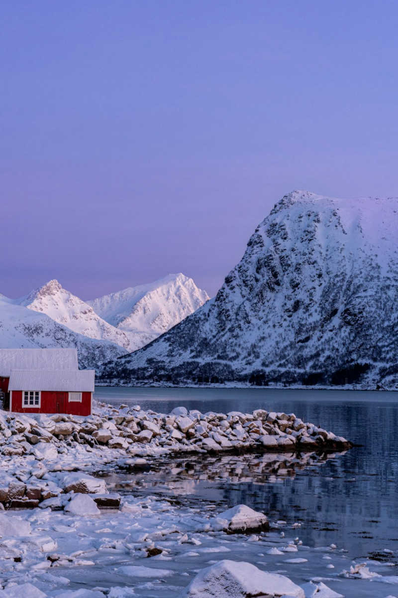 Wall Poster - Harbor in the Lofoten Islands