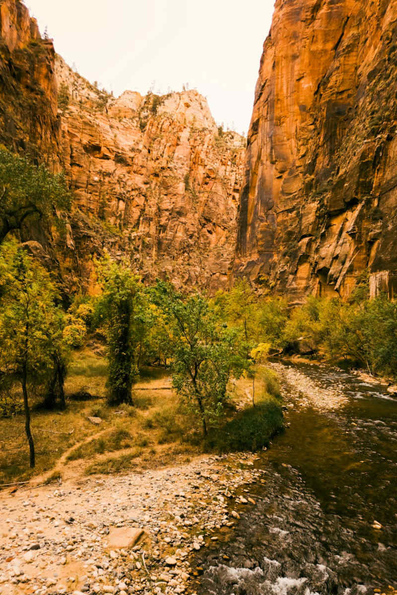 Wall Poster - Harbor in Zion National Park