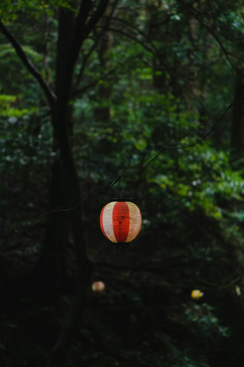 Wall Poster - Hot Air Balloons in Kyoto