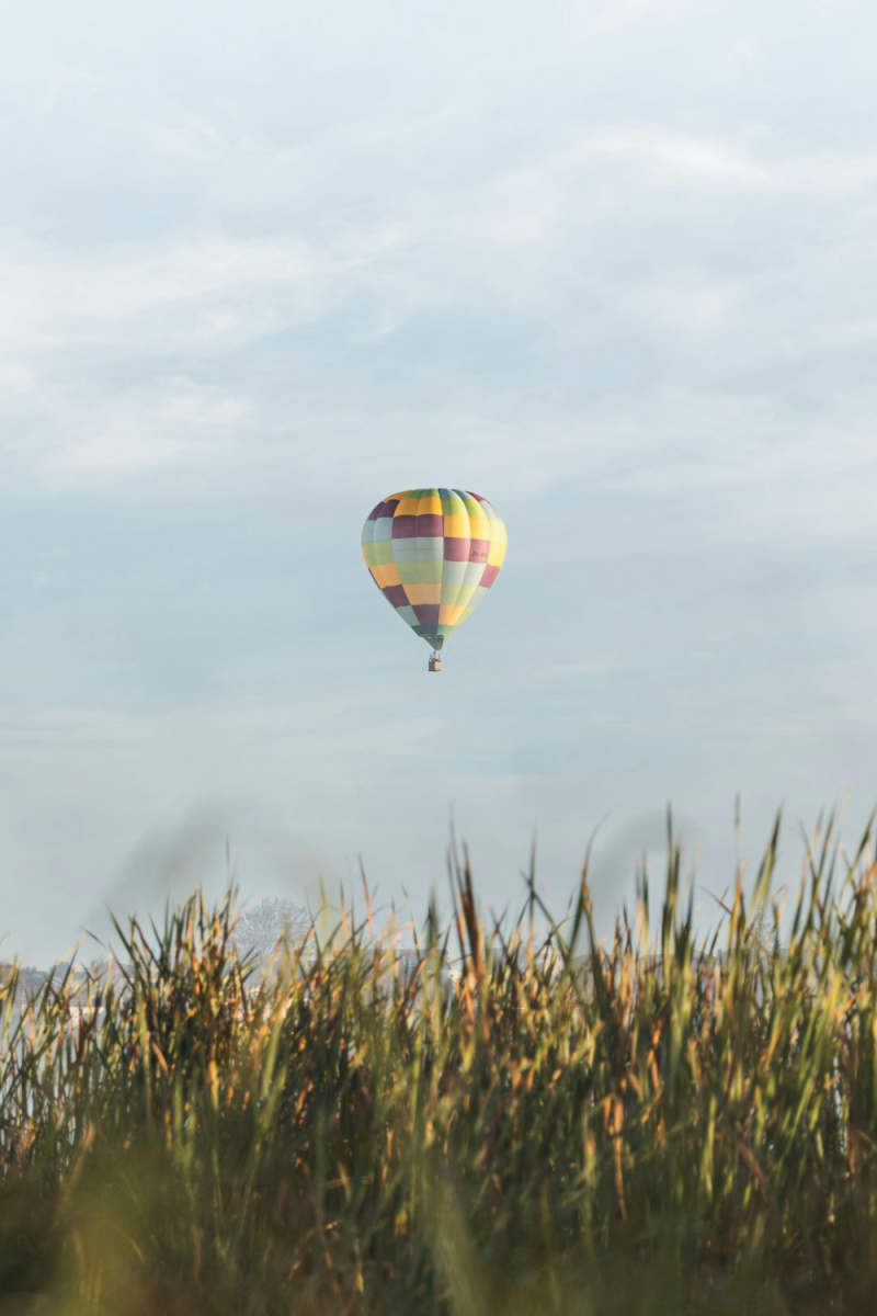 Wall Poster - Hot Air Balloons in New Zealand