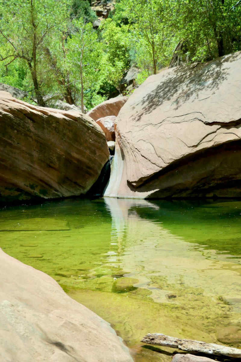 Wall Poster - Hot Spring in Zion National Park