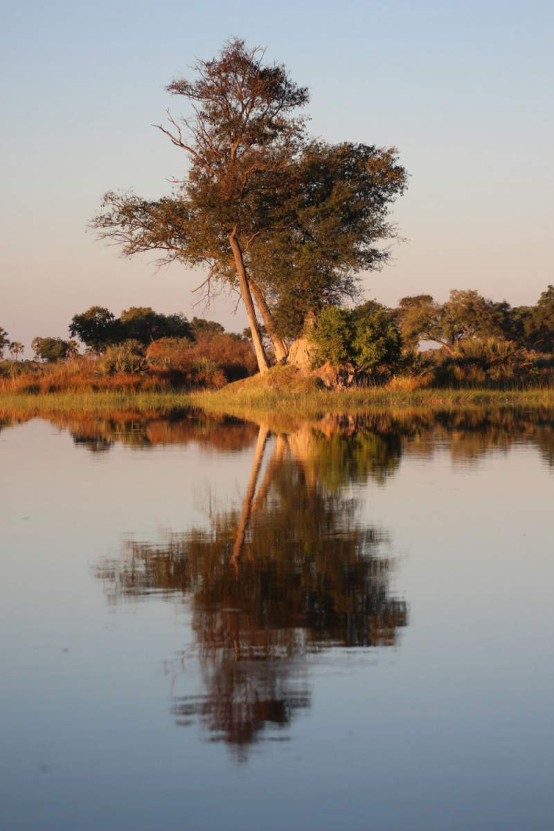 Wall Poster - Iceberg in Botswana