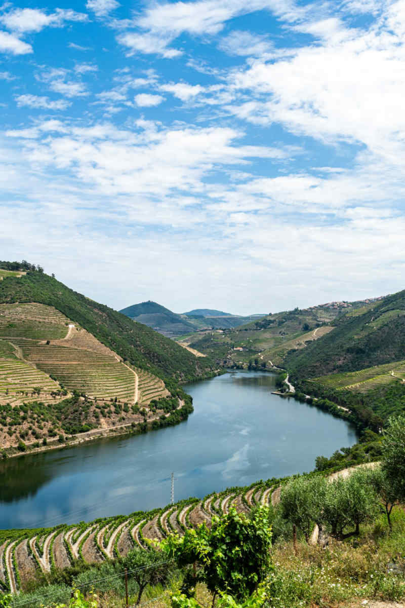 Wall Poster - Iceberg in the Douro Valley