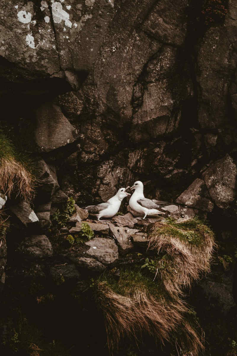 Wall Poster - Ice Cave in the Faroe Islands