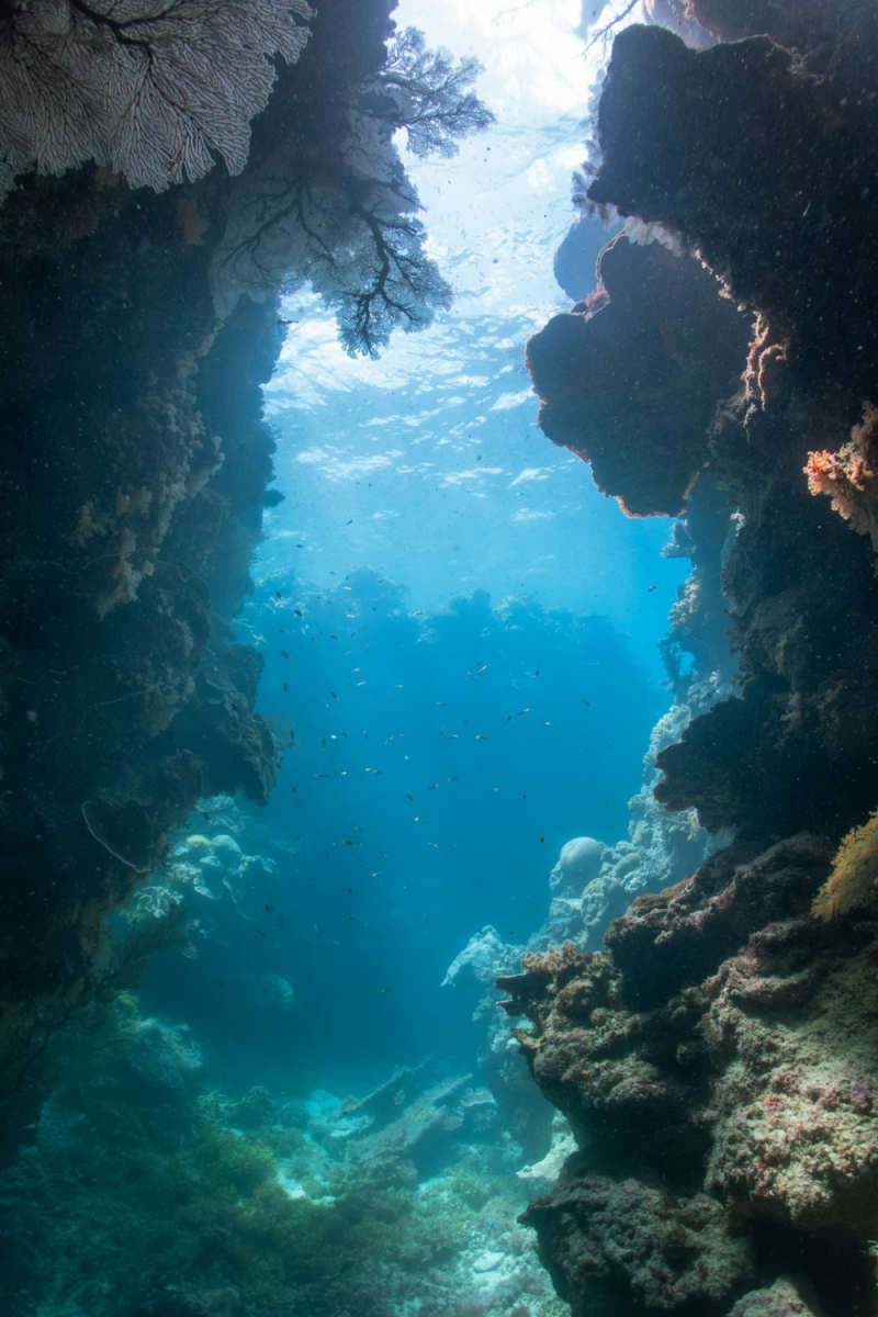 Wall Poster - Ice Cave in the Great Barrier Reef