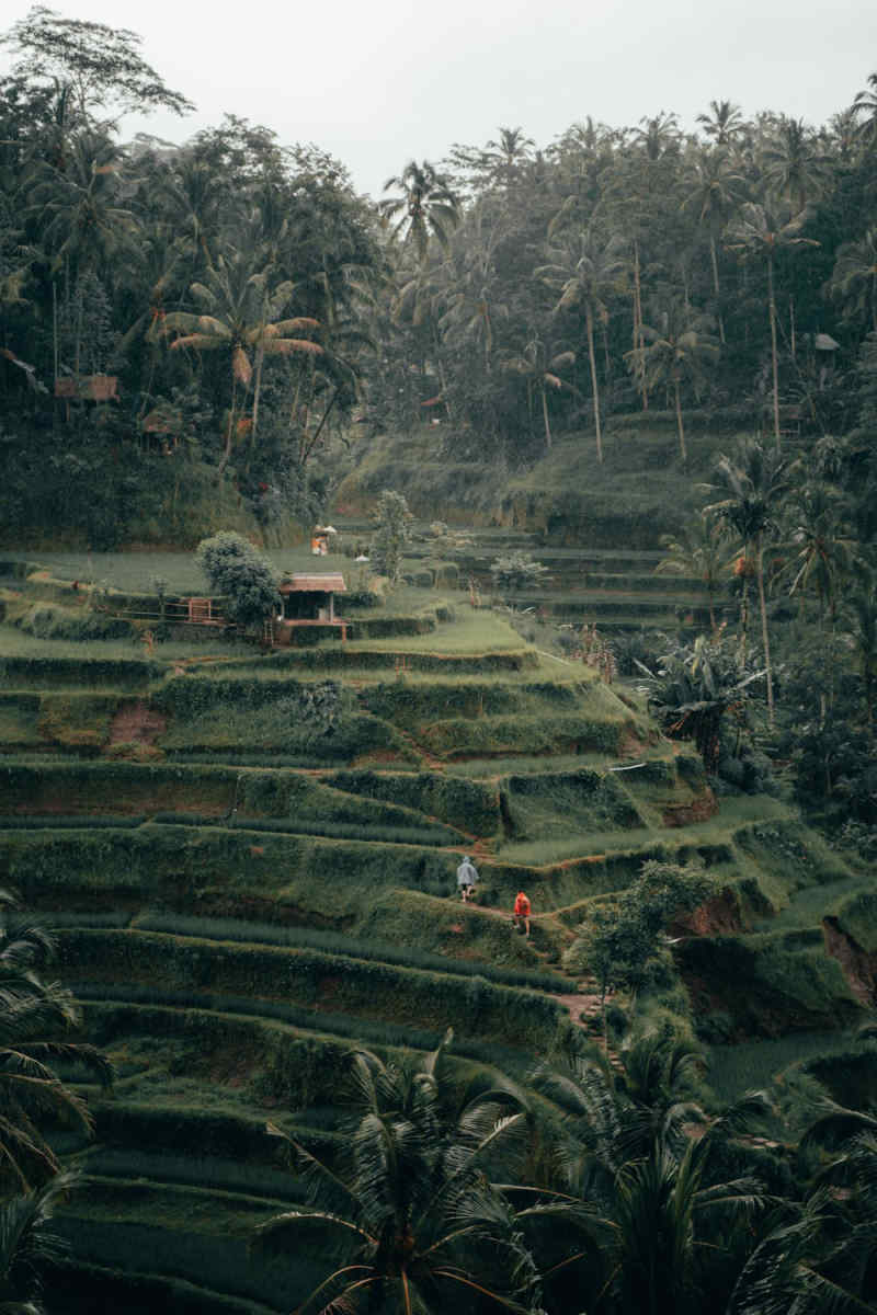 Wall Poster - Island in Bali