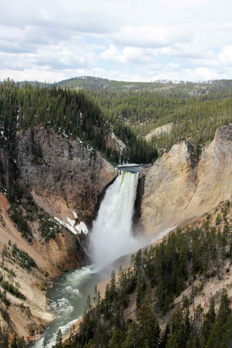 Wall Poster - Island in Yellowstone