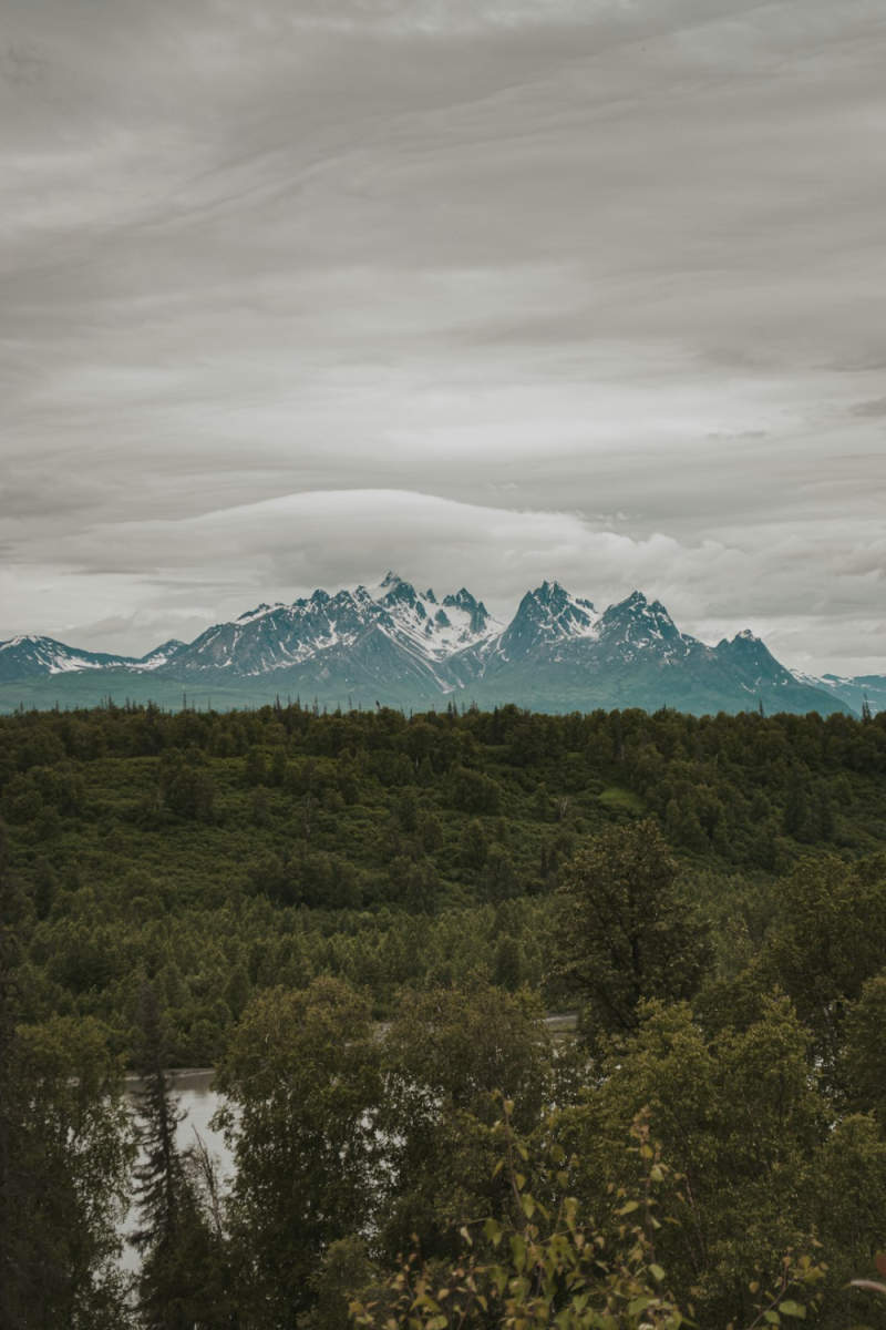 Wall Poster - Jungle Canopy in Alaska