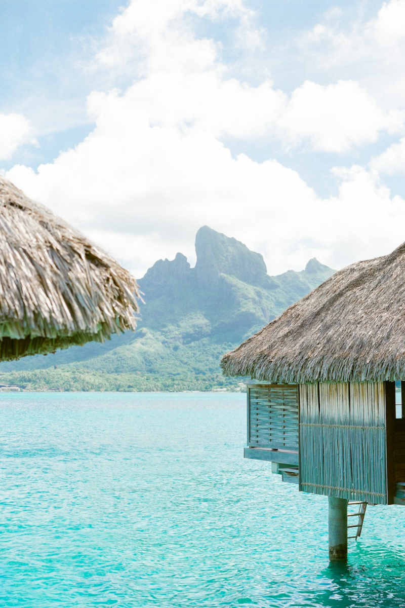 Wall Poster - Jungle Canopy in Bora Bora