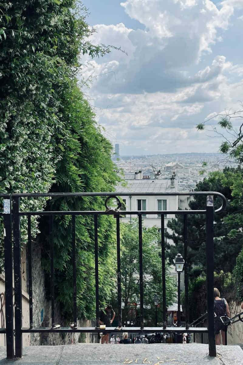 Wall Poster - Jungle Canopy in Paris