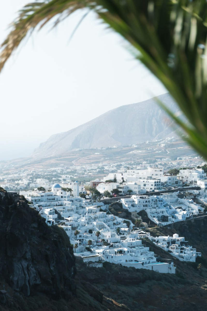 Wall Poster - Jungle Canopy in Santorini