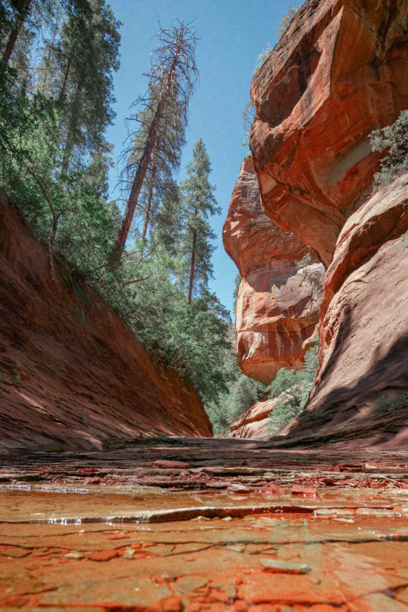Wall Poster - Lake in Sedona