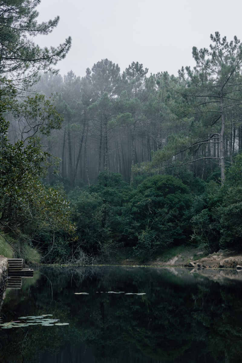 Wall Poster - Lake in Sintra