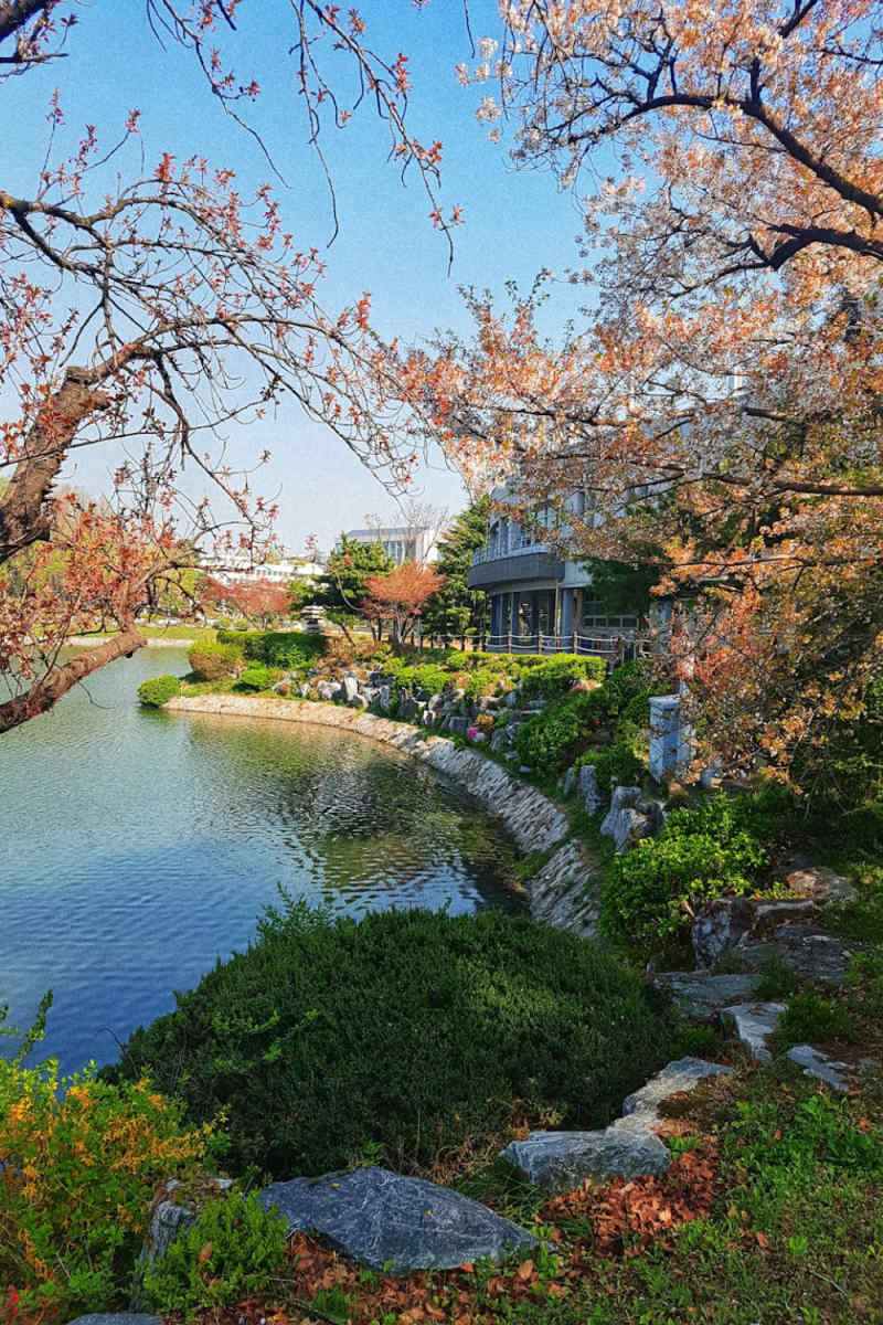 Wall Poster - Lake in South Korea