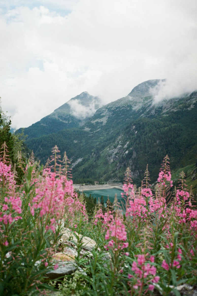 Wall Poster - Lake in the Austrian Alps