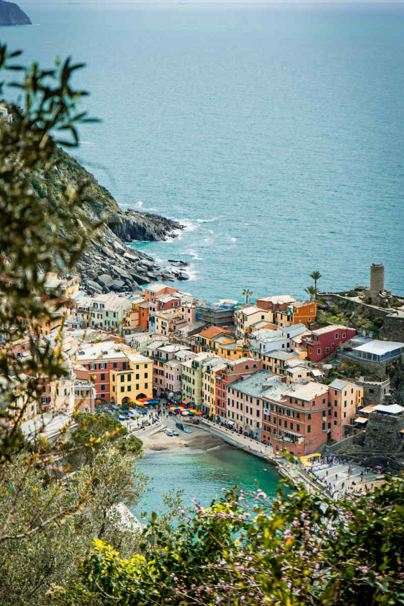 Wall Poster - Meadow in Cinque Terre