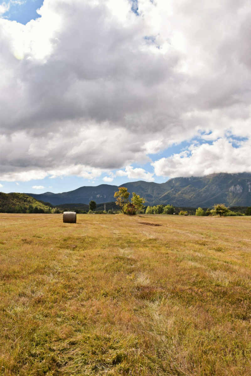 Wall Poster - Meadow in Croatia