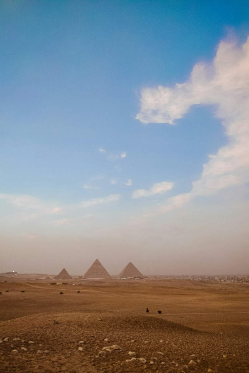 Wall Poster - Meadow in Egypt