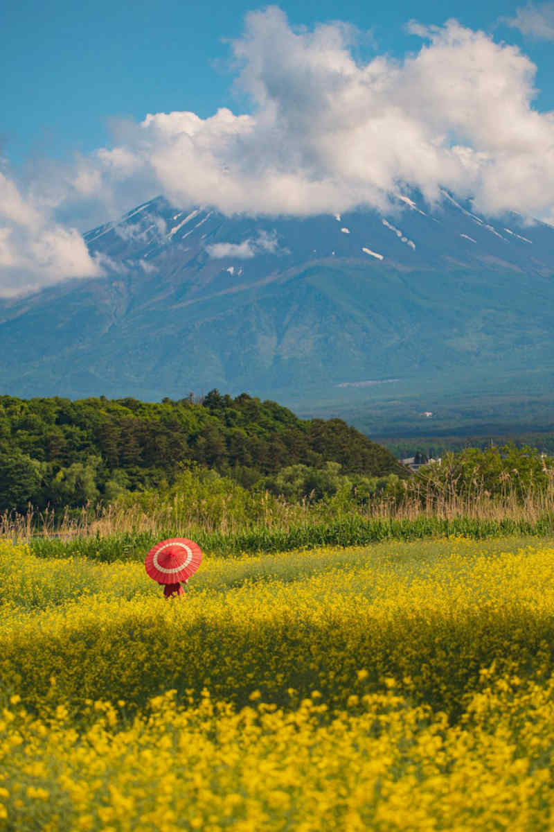 Wall Poster - Meadow in Japan