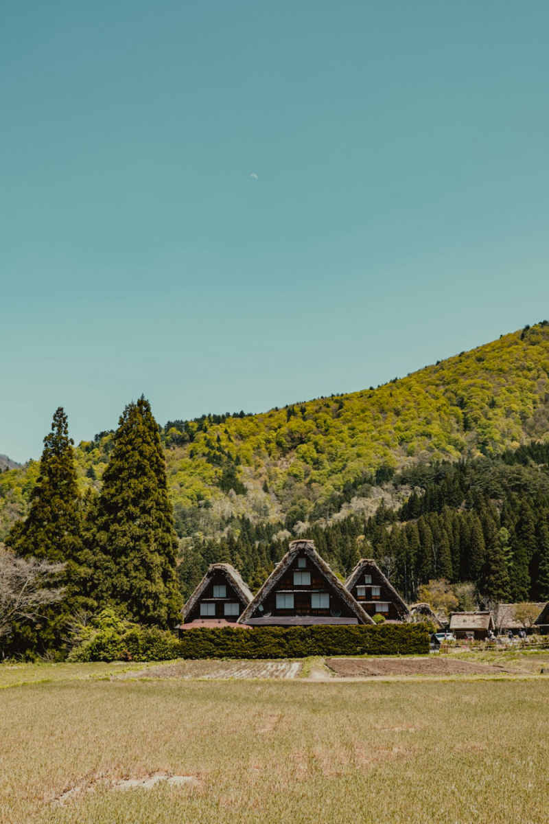 Wall Poster - Meadow in Kyoto