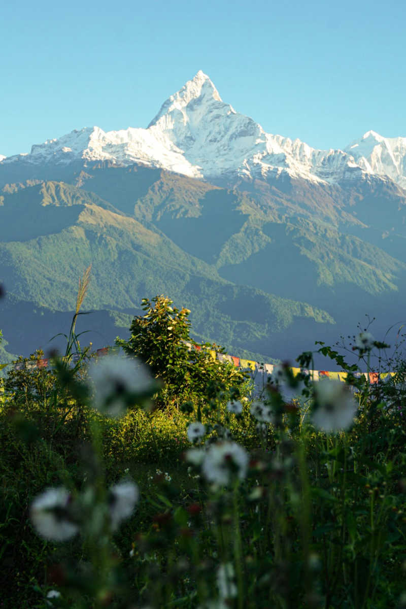 Wall Poster - Meadow in Nepal