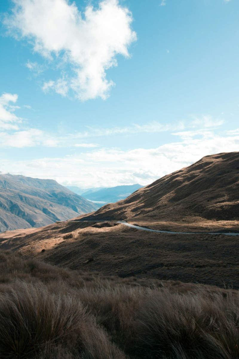 Wall Poster - Meadow in New Zealand