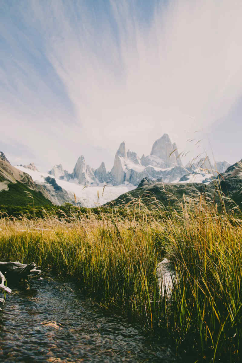 Wall Poster - Meadow in Patagonia