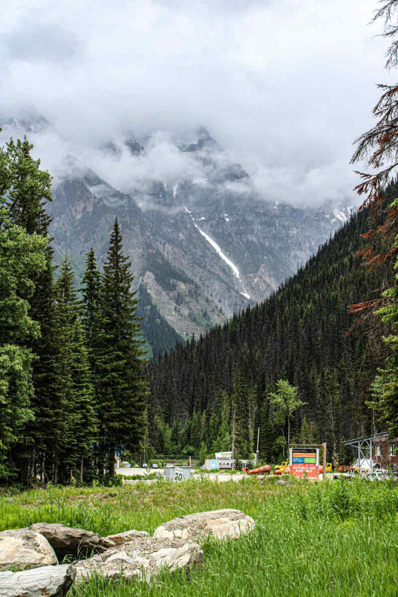 Wall Poster - Meadow in the Canadian Rockies