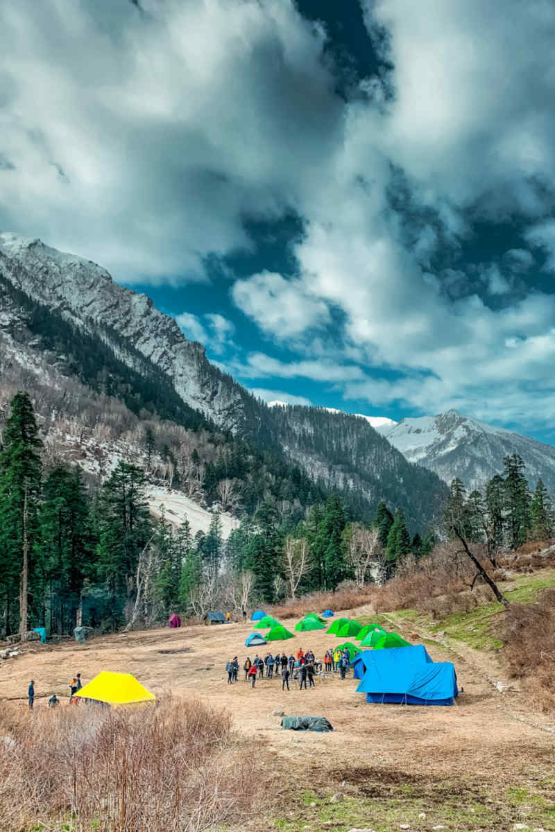 Wall Poster - Meadow in the Himalayas