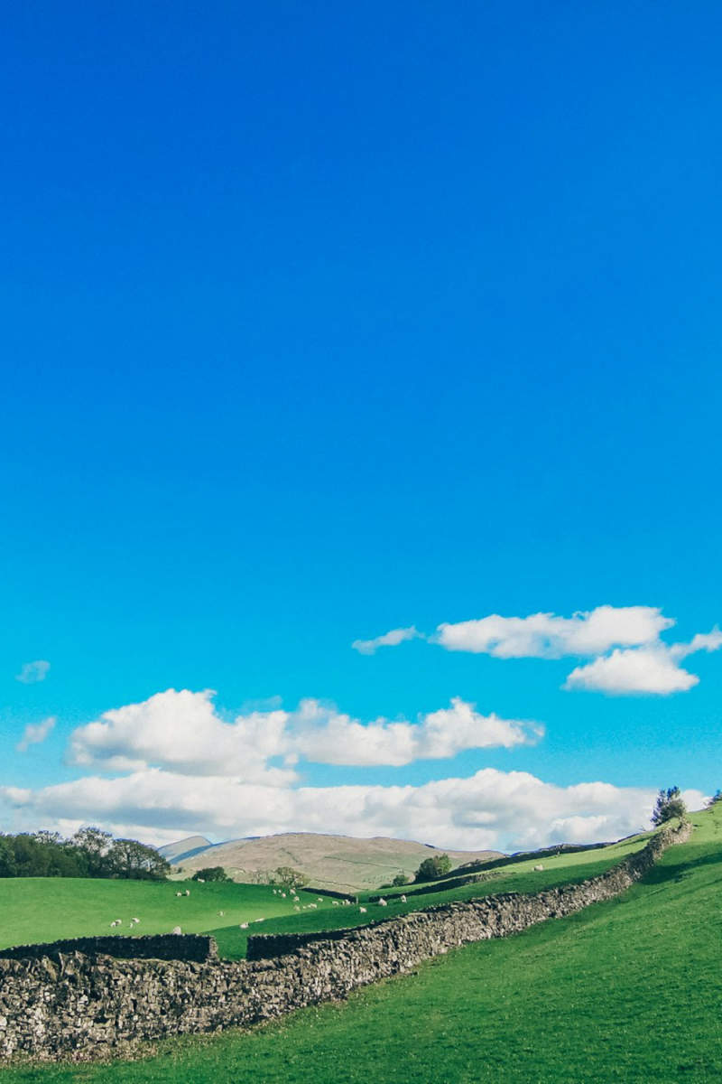 Wall Poster - Meadow in the Lake District