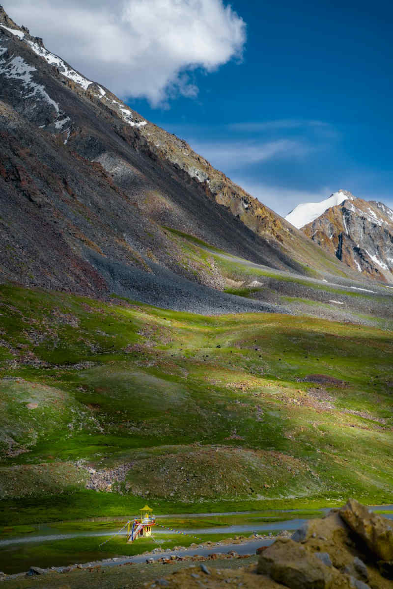 Wall Poster - Meadow in Tibet