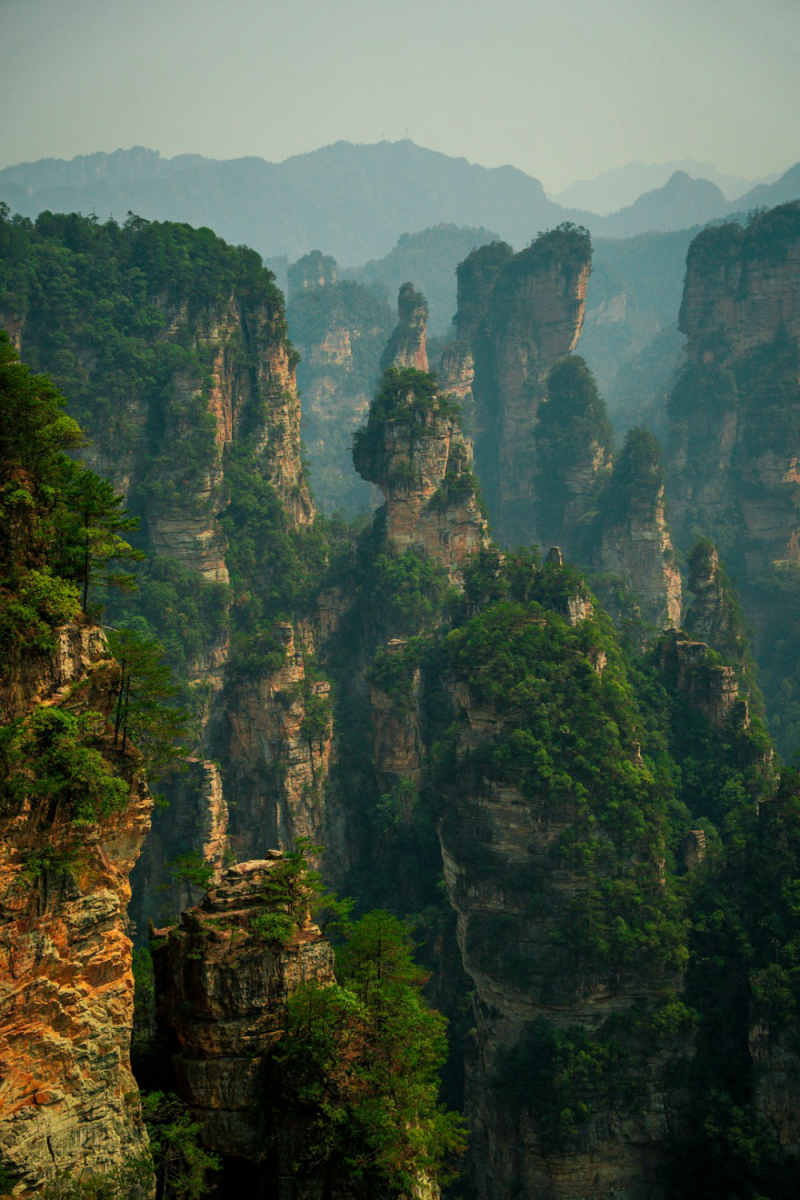 Wall Poster - Meadow in Zhangjiajie
