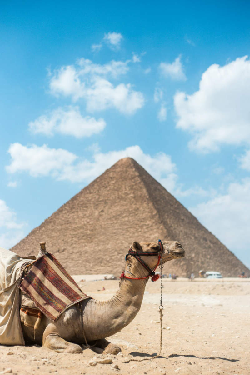 Wall Poster - Milky Way in Egypt