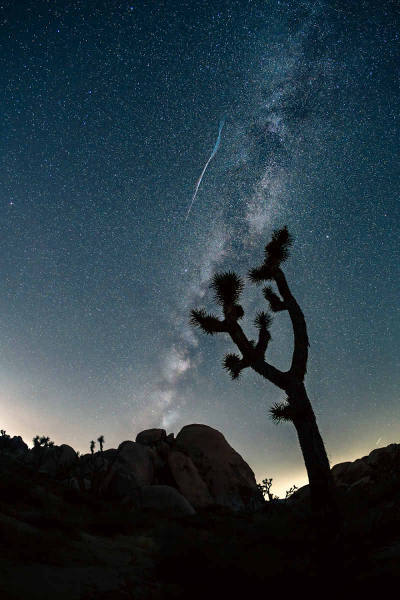 Wall Poster - Milky Way in Joshua Tree
