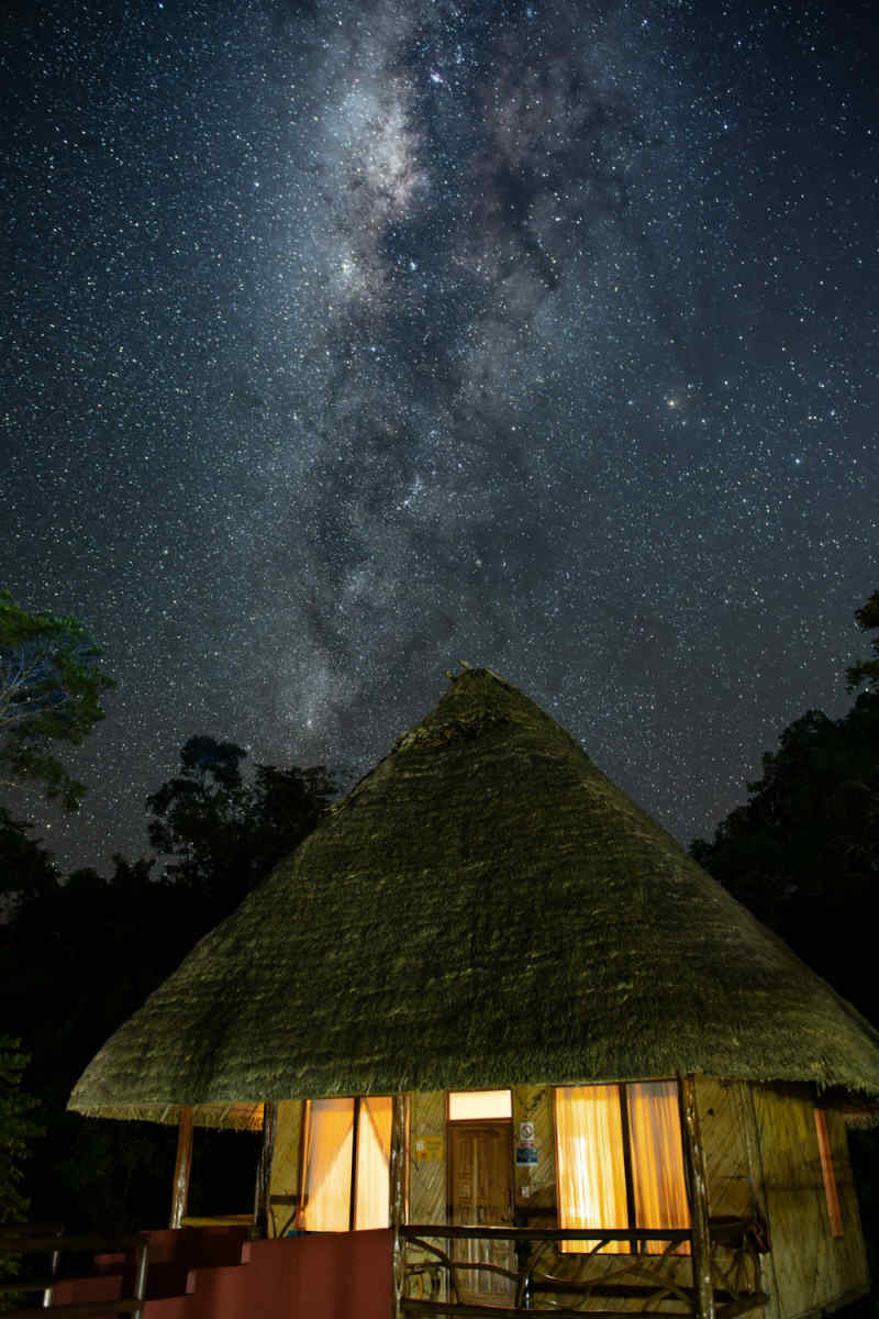 Wall Poster - Milky Way in the Amazon Rainforest