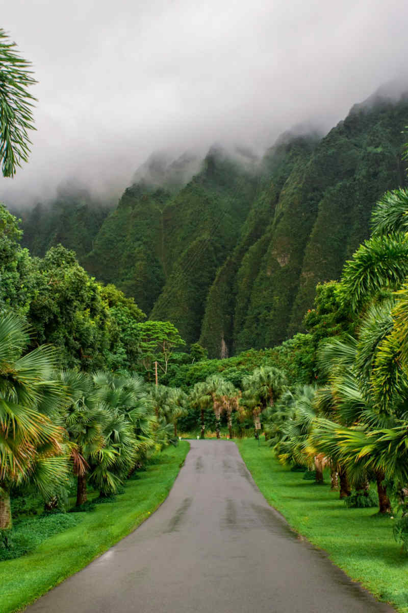 Wall Poster - Monastery in Hawaii