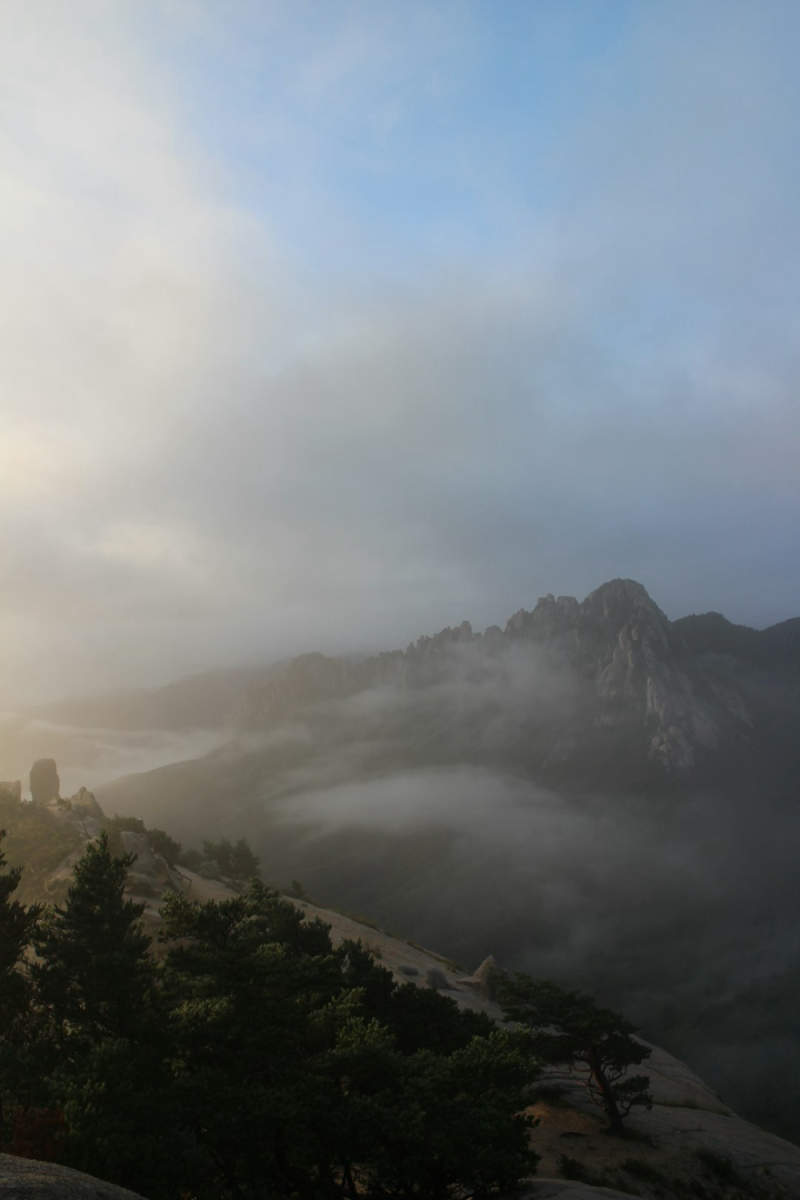 Wall Poster - Morning Mist in the Rocky Mountains
