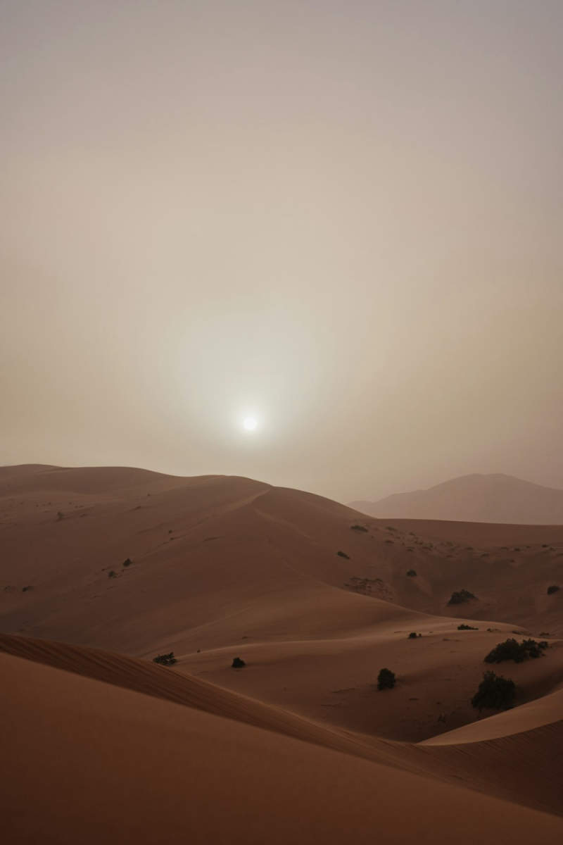 Wall Poster - Morning Mist in the Sahara