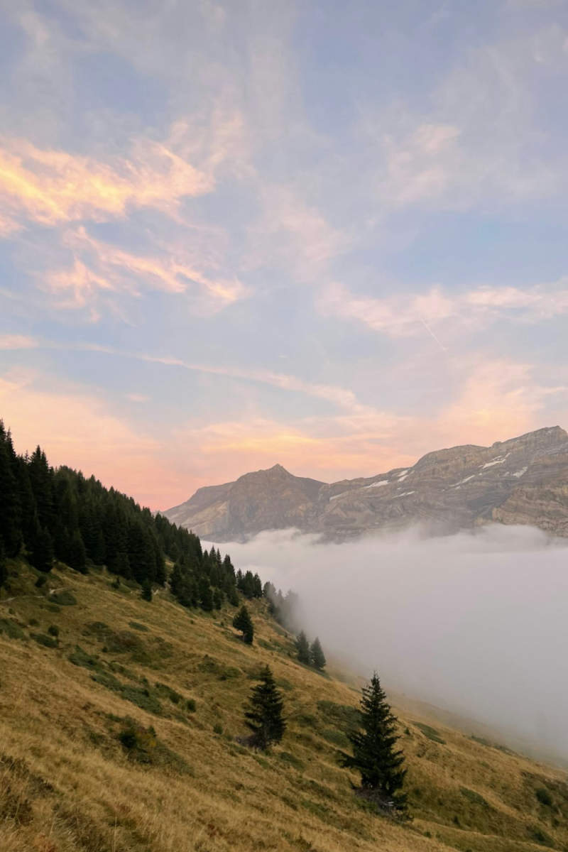 Wall Poster - Morning Mist in the Swiss Alps