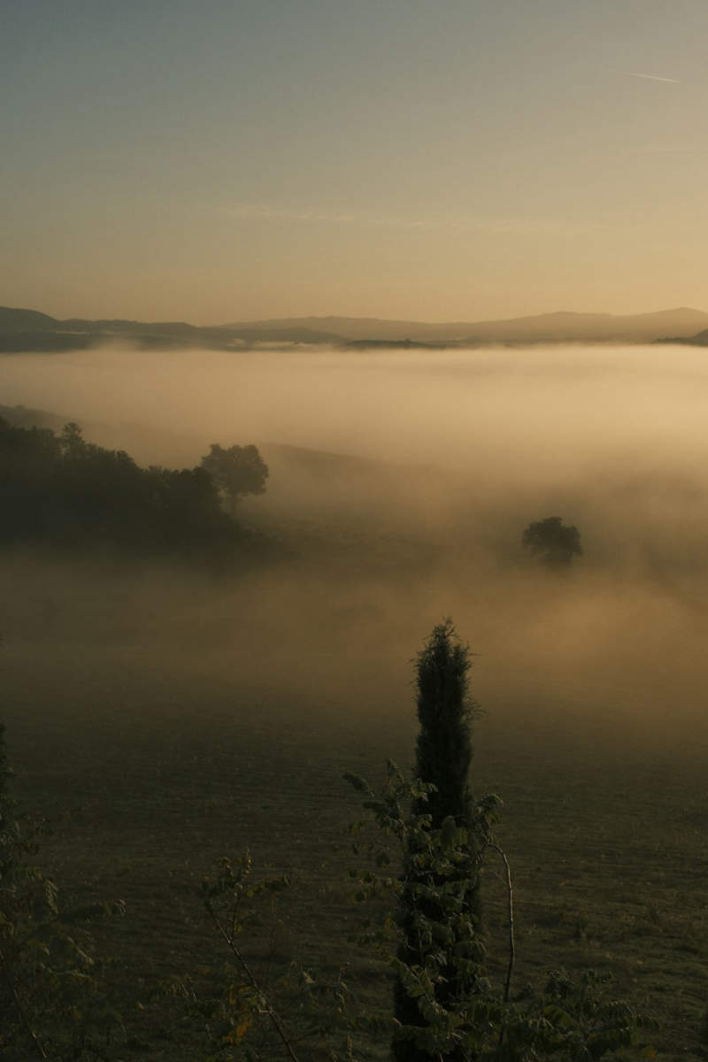 Wall Poster - Morning Mist in Tuscany