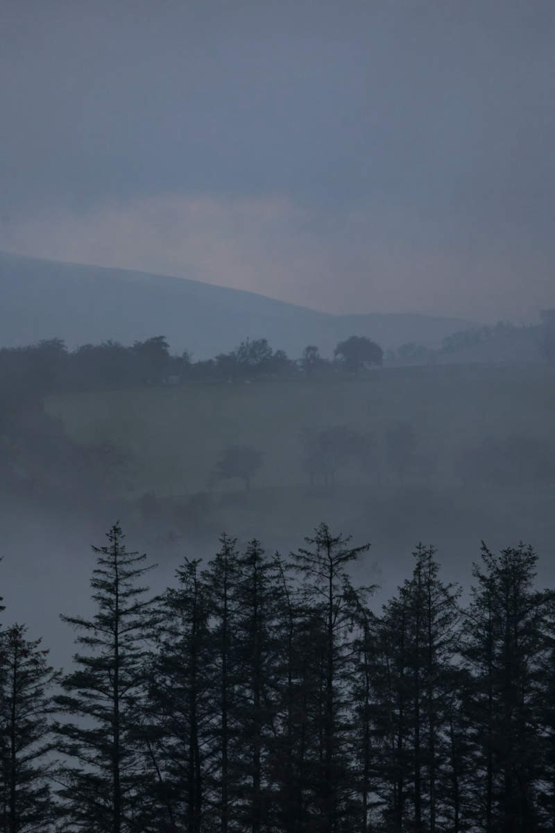 Wall Poster - Morning Mist in Wales
