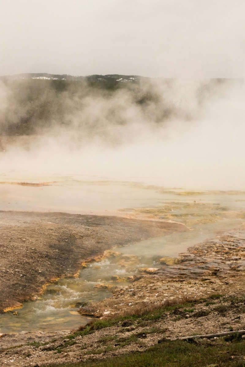 Wall Poster - Morning Mist in Yellowstone