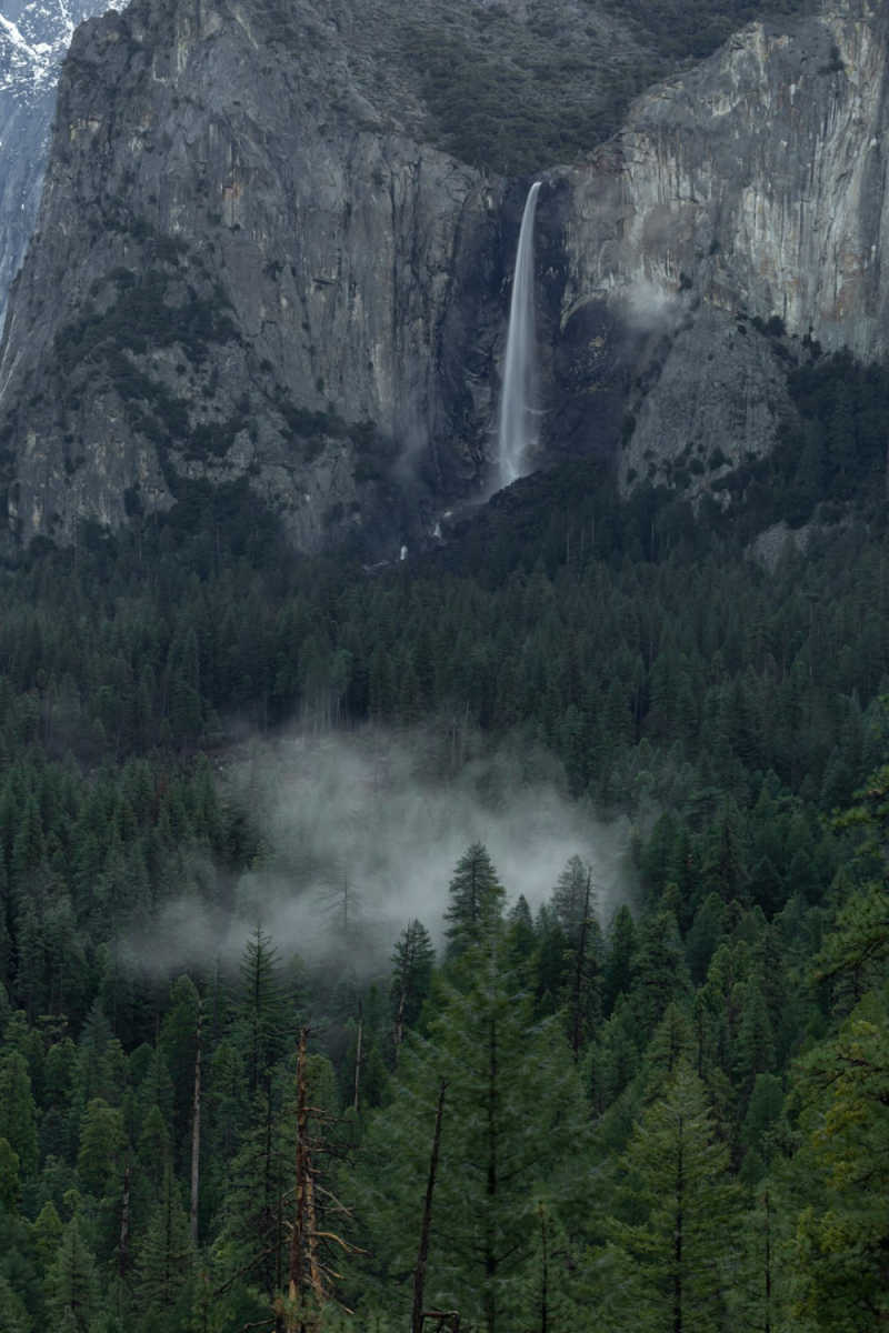 Wall Poster - Morning Mist in Yosemite