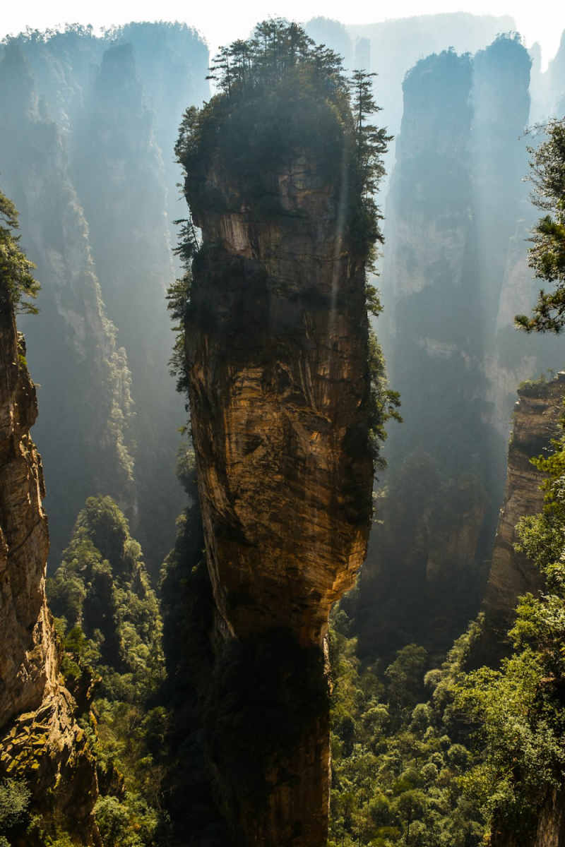 Wall Poster - Morning Mist in Zhangjiajie