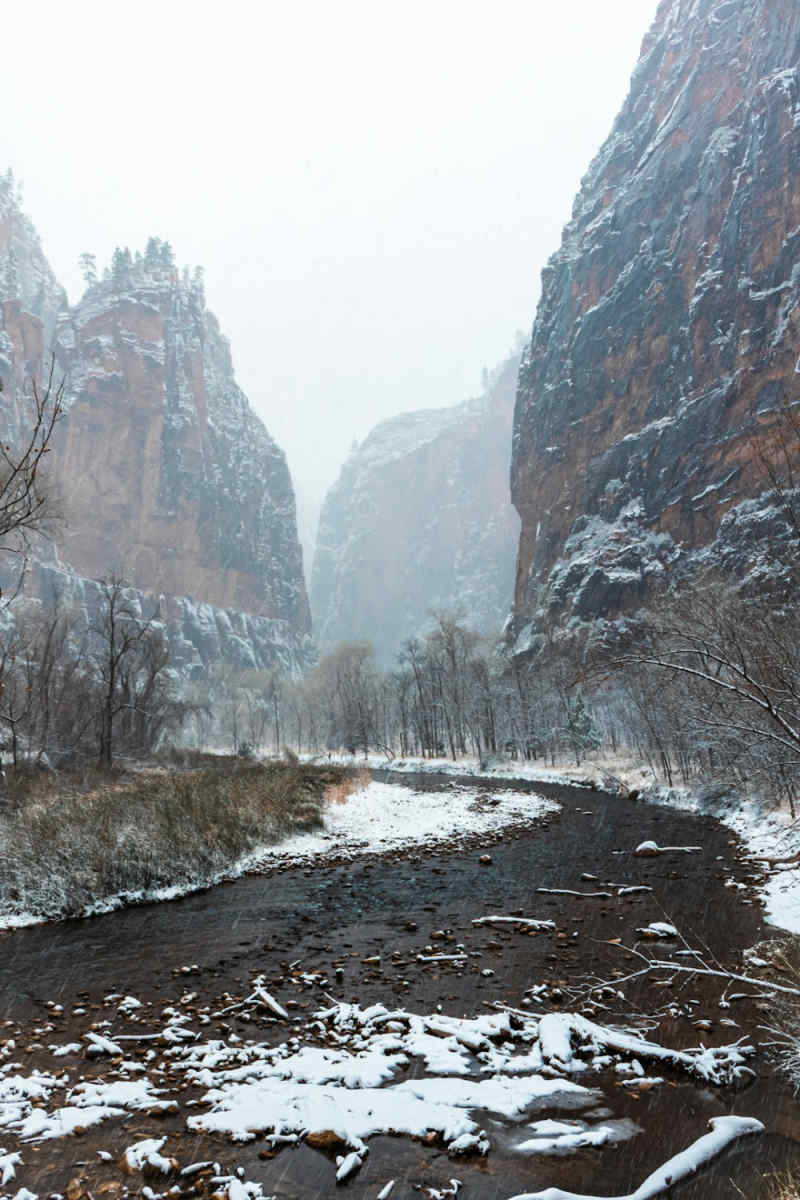 Wall Poster - Morning Mist in Zion National Park