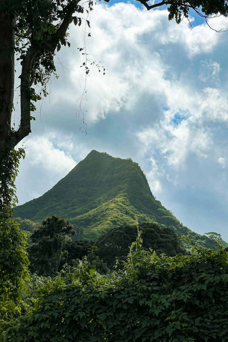 Wall Poster - Mountain Peak in Hawaii