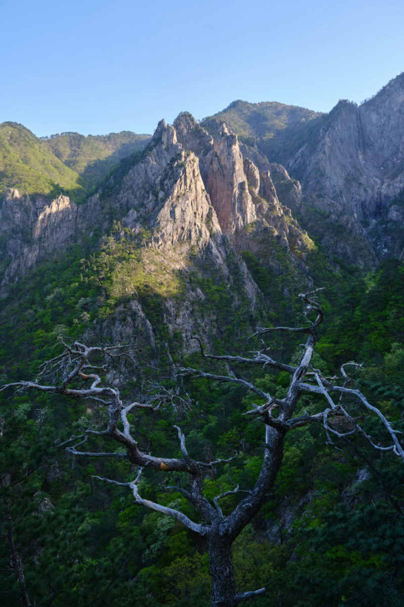 Wall Poster - Mountain Range in South Korea