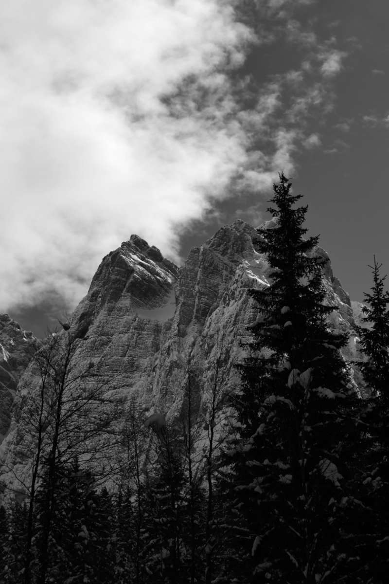 Wall Poster - Mountain Range in the Black Forest